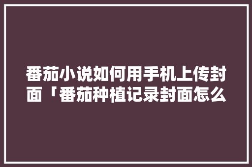 番茄小说如何用手机上传封面「番茄种植记录封面怎么写的」