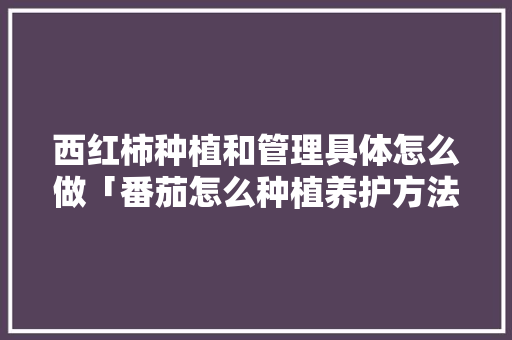 西红柿种植和管理具体怎么做「番茄怎么种植养护方法」 西红柿种植和管理具体怎么做「番茄怎么种植养护方法」 土壤施肥