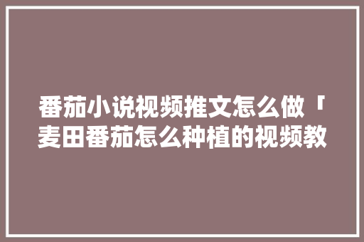 番茄小说视频推文怎么做「麦田番茄怎么种植的视频教程」 番茄小说视频推文怎么做「麦田番茄怎么种植的视频教程」 植物种类