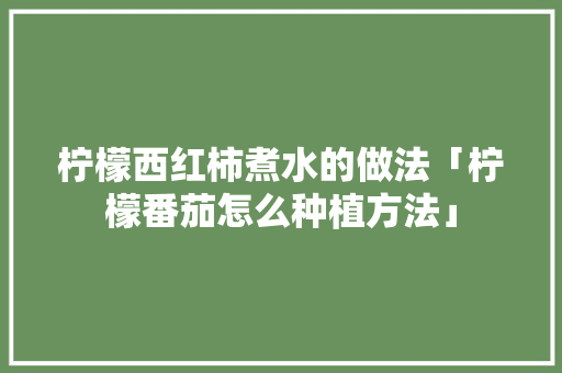 柠檬西红柿煮水的做法「柠檬番茄怎么种植方法」