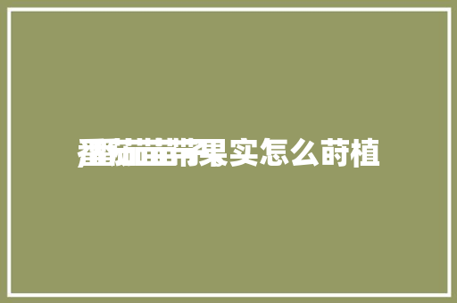 番茄苗带果实怎么莳植,番茄苗子。 番茄苗带果实怎么莳植,番茄苗子。 番茄病虫害防治