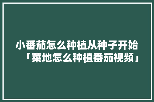 小番茄怎么种植从种子开始「菜地怎么种植番茄视频」 小番茄怎么种植从种子开始「菜地怎么种植番茄视频」 土壤施肥