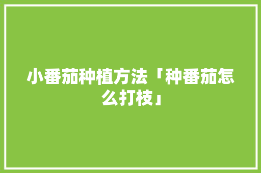 小番茄种植方法「种番茄怎么打枝」 小番茄种植方法「种番茄怎么打枝」 番茄种植技巧