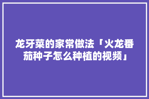 龙牙菜的家常做法「火龙番茄种子怎么种植的视频」 龙牙菜的家常做法「火龙番茄种子怎么种植的视频」 花朵知识