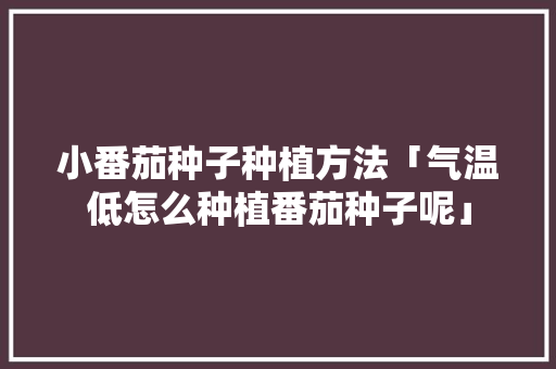 小番茄种子种植方法「气温低怎么种植番茄种子呢」 番茄种植技巧 小番茄种子种植方法「气温低怎么种植番茄种子呢」 小番茄种子种植方法「气温低怎么种植番茄种子呢」 番茄种植技巧