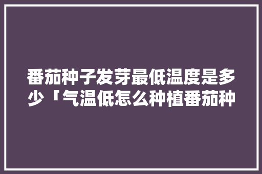 番茄种子发芽最低温度是多少「气温低怎么种植番茄种子呢」 番茄种子发芽最低温度是多少「气温低怎么种植番茄种子呢」 植物种类