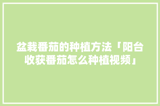 盆栽番茄的种植方法「阳台收获番茄怎么种植视频」 盆栽番茄的种植方法「阳台收获番茄怎么种植视频」 花朵知识