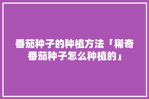 番茄种子的种植方法「稀奇番茄种子怎么种植的」 番茄种子的种植方法「稀奇番茄种子怎么种植的」 土壤施肥
