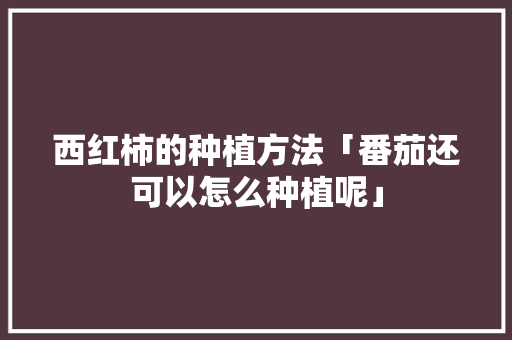 西红柿的种植方法「番茄还可以怎么种植呢」 西红柿的种植方法「番茄还可以怎么种植呢」 种植技巧
