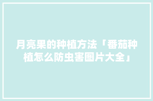 月亮果的种植方法「番茄种植怎么防虫害图片大全」 月亮果的种植方法「番茄种植怎么防虫害图片大全」 花朵知识