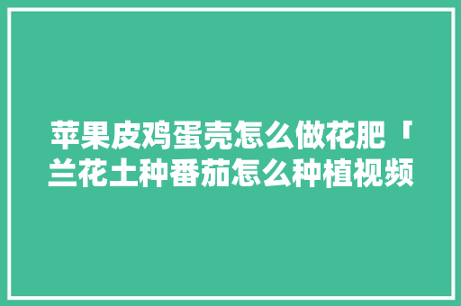 苹果皮鸡蛋壳怎么做花肥「兰花土种番茄怎么种植视频」 苹果皮鸡蛋壳怎么做花肥「兰花土种番茄怎么种植视频」 植物种类