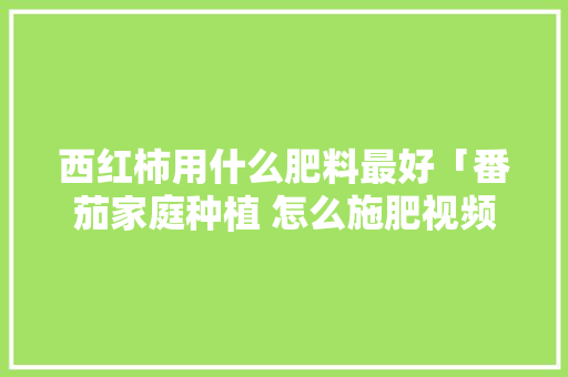 西红柿用什么肥料最好「番茄家庭种植 怎么施肥视频」 西红柿用什么肥料最好「番茄家庭种植 怎么施肥视频」 番茄病虫害防治