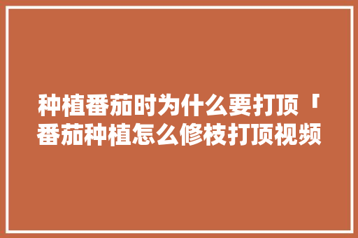 种植番茄时为什么要打顶「番茄种植怎么修枝打顶视频」 种植番茄时为什么要打顶「番茄种植怎么修枝打顶视频」 土壤施肥