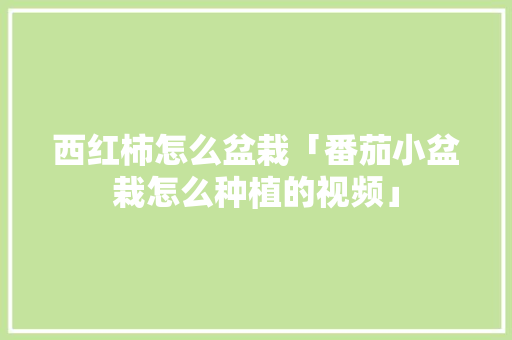 西红柿怎么盆栽「番茄小盆栽怎么种植的视频」 西红柿怎么盆栽「番茄小盆栽怎么种植的视频」 番茄病虫害防治