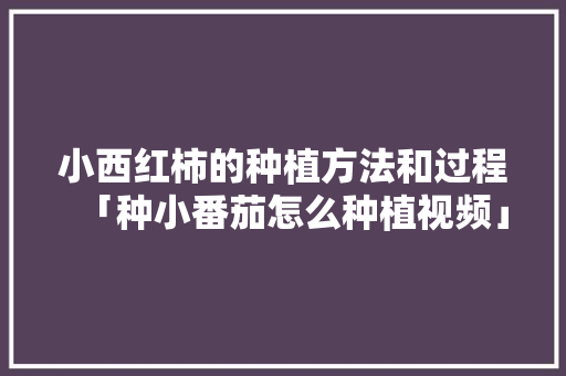 小西红柿的种植方法和过程「种小番茄怎么种植视频」 小西红柿的种植方法和过程「种小番茄怎么种植视频」 农业常识