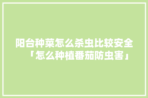 阳台种菜怎么杀虫比较安全「怎么种植番茄防虫害」 阳台种菜怎么杀虫比较安全「怎么种植番茄防虫害」 番茄种植技巧