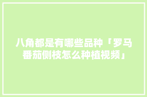 八角都是有哪些品种「罗马番茄侧枝怎么种植视频」 八角都是有哪些品种「罗马番茄侧枝怎么种植视频」 植物种类