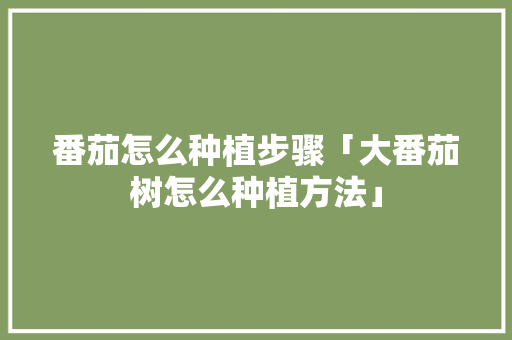 番茄怎么种植步骤「大番茄树怎么种植方法」 番茄怎么种植步骤「大番茄树怎么种植方法」 花朵知识