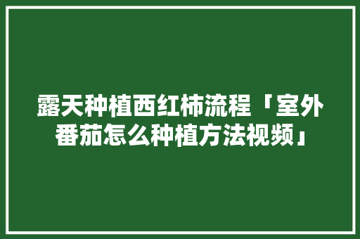 露天种植西红柿流程「室外番茄怎么种植方法视频」 露天种植西红柿流程「室外番茄怎么种植方法视频」 种植技巧