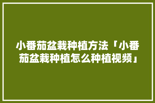 小番茄盆栽种植方法「小番茄盆栽种植怎么种植视频」 小番茄盆栽种植方法「小番茄盆栽种植怎么种植视频」 土壤施肥