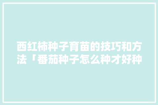 西红柿种子育苗的技巧和方法「番茄种子怎么种才好种植视频」 西红柿种子育苗的技巧和方法「番茄种子怎么种才好种植视频」 农业常识