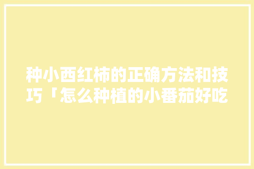 种小西红柿的正确方法和技巧「怎么种植的小番茄好吃」 种小西红柿的正确方法和技巧「怎么种植的小番茄好吃」 种植技巧