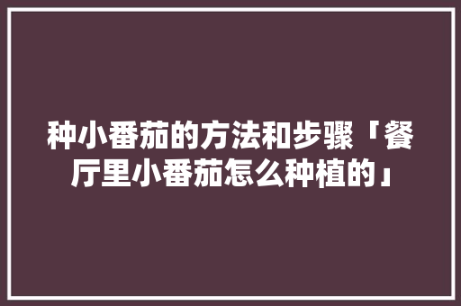 种小番茄的方法和步骤「餐厅里小番茄怎么种植的」 种植技巧 种小番茄的方法和步骤「餐厅里小番茄怎么种植的」 种小番茄的方法和步骤「餐厅里小番茄怎么种植的」 种植技巧