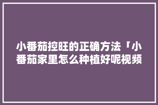 小番茄控旺的正确方法「小番茄家里怎么种植好呢视频」 小番茄控旺的正确方法「小番茄家里怎么种植好呢视频」 花朵知识