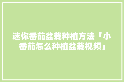 迷你番茄盆栽种植方法「小番茄怎么种植盆栽视频」 迷你番茄盆栽种植方法「小番茄怎么种植盆栽视频」 农业常识