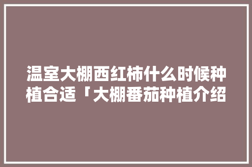 温室大棚西红柿什么时候种植合适「大棚番茄种植介绍怎么写文案」 温室大棚西红柿什么时候种植合适「大棚番茄种植介绍怎么写文案」 种植技巧