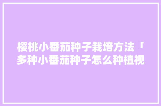 樱桃小番茄种子栽培方法「多种小番茄种子怎么种植视频」 樱桃小番茄种子栽培方法「多种小番茄种子怎么种植视频」 农业常识