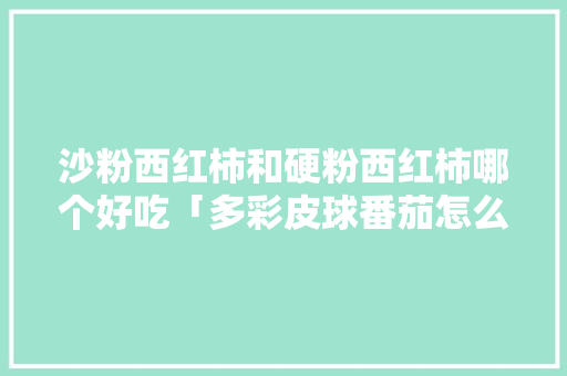 沙粉西红柿和硬粉西红柿哪个好吃「多彩皮球番茄怎么种植的」 沙粉西红柿和硬粉西红柿哪个好吃「多彩皮球番茄怎么种植的」 花朵知识