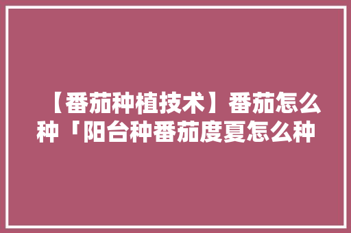 【番茄种植技术】番茄怎么种「阳台种番茄度夏怎么种植视频」 【番茄种植技术】番茄怎么种「阳台种番茄度夏怎么种植视频」 番茄种植技巧
