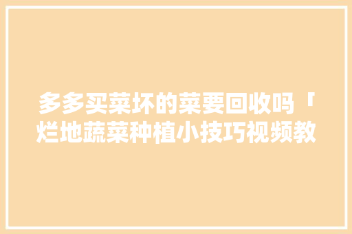 多多买菜坏的菜要回收吗「烂地蔬菜种植小技巧视频教程」