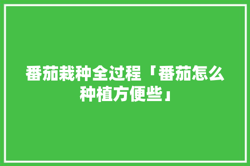 番茄栽种全过程「番茄怎么种植方便些」 番茄病虫害防治 番茄栽种全过程「番茄怎么种植方便些」 番茄栽种全过程「番茄怎么种植方便些」 番茄病虫害防治