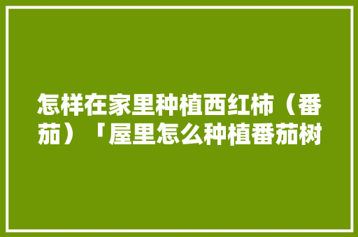 怎样在家里种植西红柿（番茄）「屋里怎么种植番茄树视频」 怎样在家里种植西红柿（番茄）「屋里怎么种植番茄树视频」 番茄病虫害防治