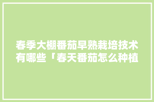 春季大棚番茄早熟栽培技术有哪些「春天番茄怎么种植视频」 春季大棚番茄早熟栽培技术有哪些「春天番茄怎么种植视频」 植物种类