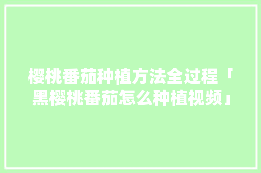樱桃番茄种植方法全过程「黑樱桃番茄怎么种植视频」 樱桃番茄种植方法全过程「黑樱桃番茄怎么种植视频」 土壤施肥