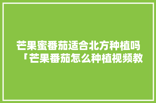 芒果蜜番茄适合北方种植吗「芒果番茄怎么种植视频教程」 芒果蜜番茄适合北方种植吗「芒果番茄怎么种植视频教程」 土壤施肥