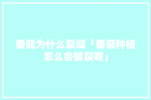 番茄为什么裂缝「番茄种植怎么会破裂呢」 番茄为什么裂缝「番茄种植怎么会破裂呢」 番茄种植技巧