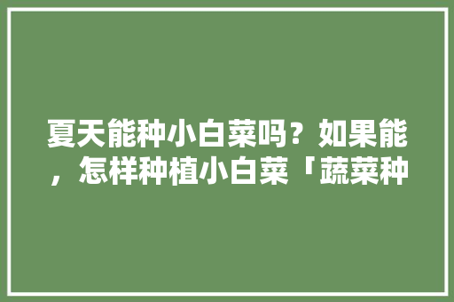 夏天能种小白菜吗？如果能，怎样种植小白菜「蔬菜种植技巧夏季生长过程」
