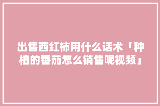 出售西红柿用什么话术「种植的番茄怎么销售呢视频」 出售西红柿用什么话术「种植的番茄怎么销售呢视频」 种植技巧