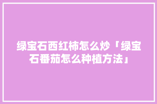 绿宝石西红柿怎么炒「绿宝石番茄怎么种植方法」 绿宝石西红柿怎么炒「绿宝石番茄怎么种植方法」 农业常识