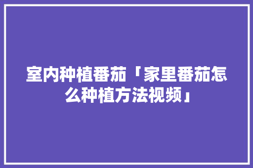 室内种植番茄「家里番茄怎么种植方法视频」 室内种植番茄「家里番茄怎么种植方法视频」 植物种类