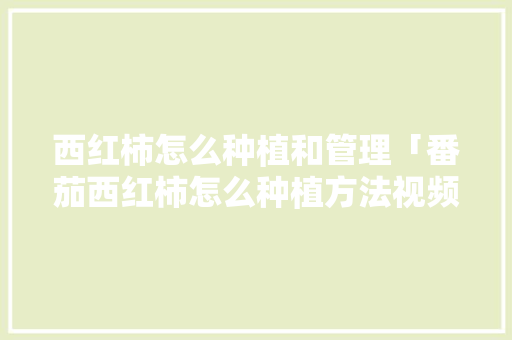 西红柿怎么种植和管理「番茄西红柿怎么种植方法视频」 西红柿怎么种植和管理「番茄西红柿怎么种植方法视频」 土壤施肥