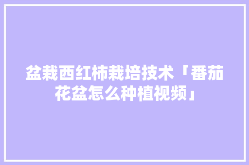 盆栽西红柿栽培技术「番茄花盆怎么种植视频」 盆栽西红柿栽培技术「番茄花盆怎么种植视频」 植物种类