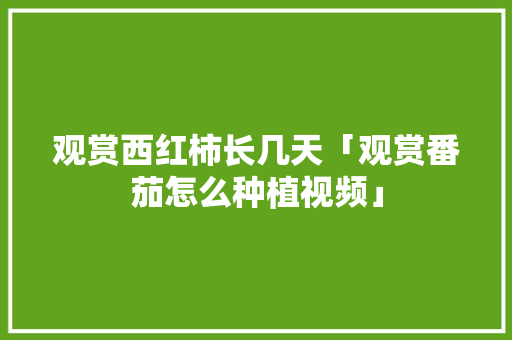 观赏西红柿长几天「观赏番茄怎么种植视频」 观赏西红柿长几天「观赏番茄怎么种植视频」 番茄种植技巧