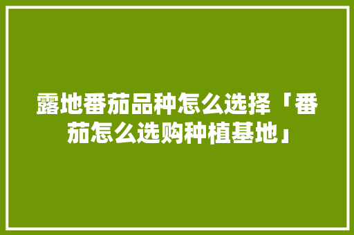 露地番茄品种怎么选择「番茄怎么选购种植基地」 种植技巧 露地番茄品种怎么选择「番茄怎么选购种植基地」 露地番茄品种怎么选择「番茄怎么选购种植基地」 种植技巧