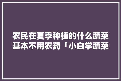 农民在夏季种植的什么蔬菜基本不用农药「小白学蔬菜种植技巧视频」 农民在夏季种植的什么蔬菜基本不用农药「小白学蔬菜种植技巧视频」 番茄种植技巧