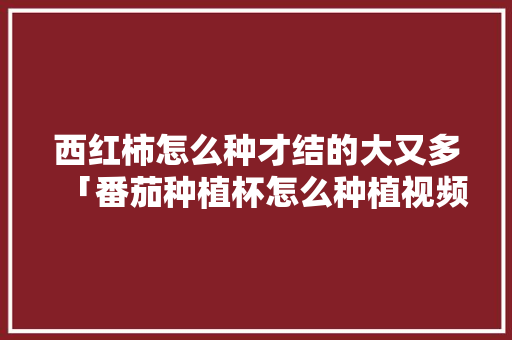 西红柿怎么种才结的大又多「番茄种植杯怎么种植视频教程」 西红柿怎么种才结的大又多「番茄种植杯怎么种植视频教程」 土壤施肥
